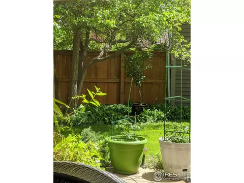 1477 Patton Dr, Boulder, CO 80303 photo 35