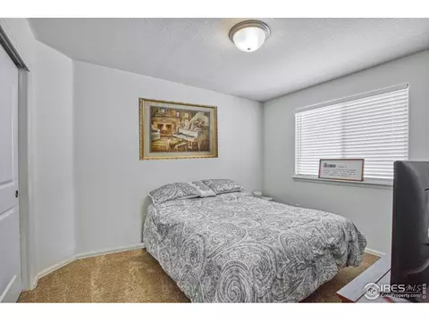 334 Torreys Dr, Severance, CO 80550 photo 14