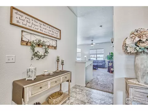 334 Torreys Dr, Severance, CO 80550 photo 3