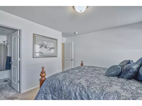 334 Torreys Dr, Severance, CO 80550 photo 12