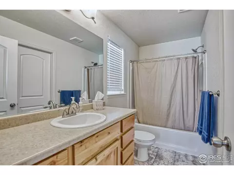 334 Torreys Dr, Severance, CO 80550 photo 13