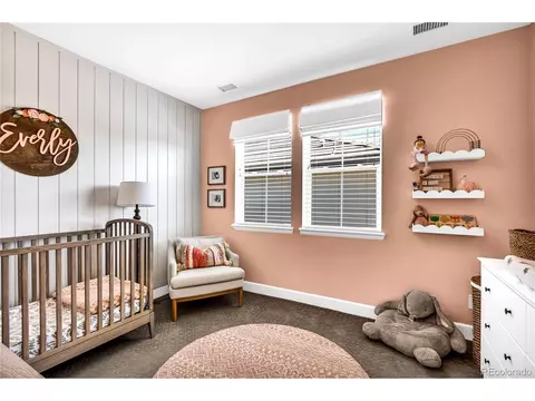14619 Tango Loop, Parker, CO 80134 photo 27