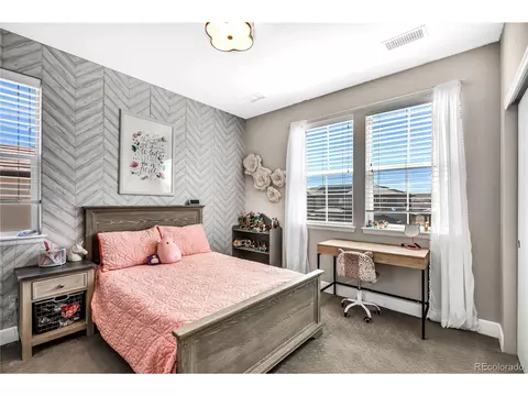 14619 Tango Loop, Parker, CO 80134 photo 23