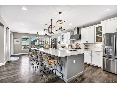 14619 Tango Loop, Parker, CO 80134 photo 9