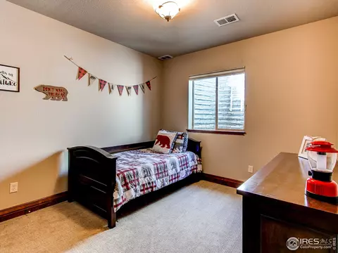 1887 E Seadrift Dr, Windsor, CO 80550 photo 23