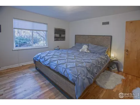 1101 Forest Ave, Boulder, CO 80304 photo 8