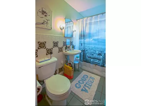 1101 Forest Ave, Boulder, CO 80304 photo 11