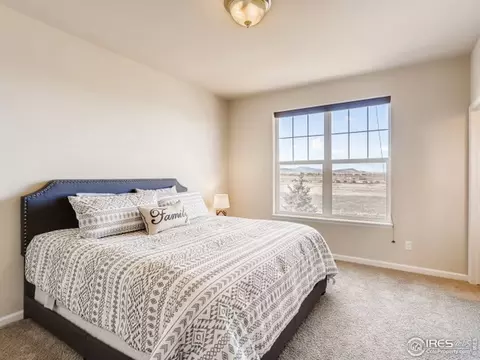 5007 Eagan Cir, Longmont, CO 80503 photo 29