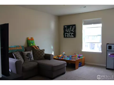 5007 Eagan Cir, Longmont, CO 80503 photo 26