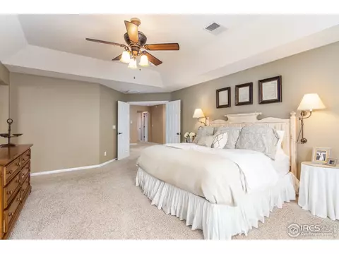 411 Opal Way, Superior, CO 80027 photo 20