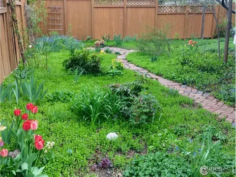 834 North St, Boulder, CO 80304 photo 15