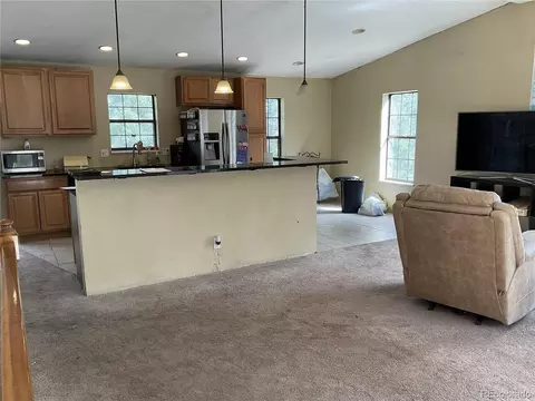 Living - 1365 Burland Dr, Bailey, CO 80421 photo 3 of 5