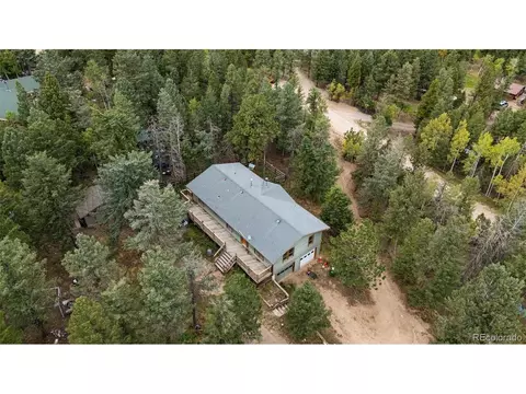 View/Area - 1365 Burland Dr, Bailey, CO 80421 photo 11 of 12