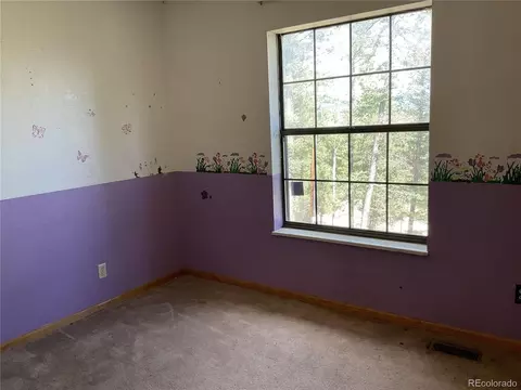 Bedroom - 1365 Burland Dr, Bailey, CO 80421 photo 2 of 6