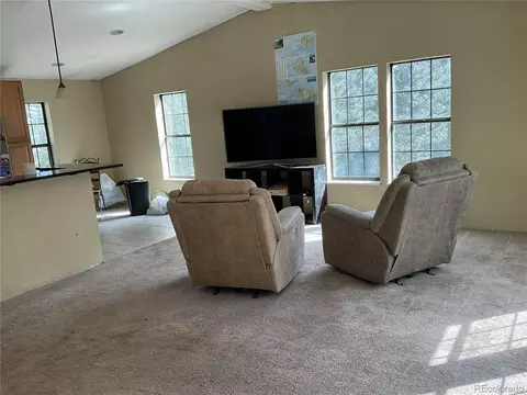 Living - 1365 Burland Dr, Bailey, CO 80421 photo 2 of 5