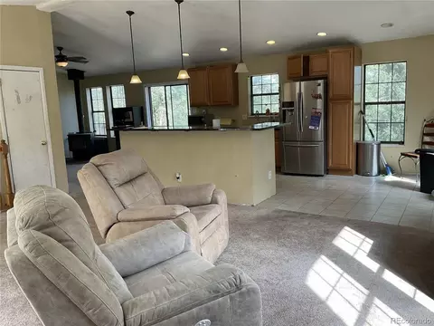 Living - 1365 Burland Dr, Bailey, CO 80421 photo 1 of 5