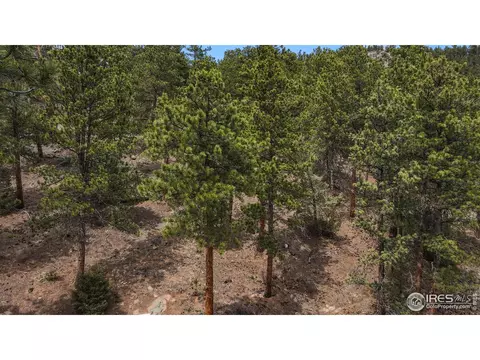 103 Overpine Dr, Lyons, CO 80540 photo 39