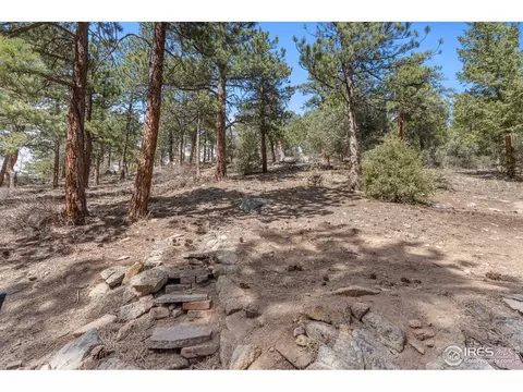 103 Overpine Dr, Lyons, CO 80540 photo 34