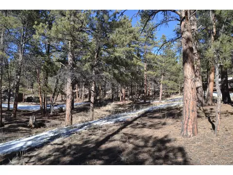 1355 N Crystal Rd, Lake George, CO 80827