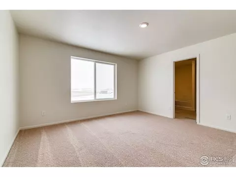 889 Emerald Lakes St, Windsor, CO 80550 photo 14