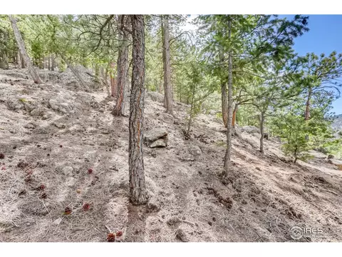 24 Appleby Dr, Lyons, CO 80540 photo 33