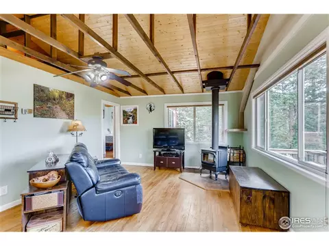 24 Appleby Dr, Lyons, CO 80540 photo 5