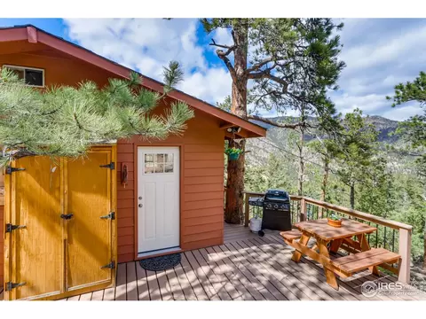 24 Appleby Dr, Lyons, CO 80540 photo 23