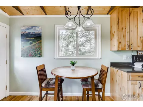 24 Appleby Dr, Lyons, CO 80540 photo 10