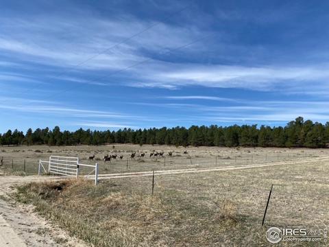 13728 County Road 94, Elbert, CO 80106 photo 1