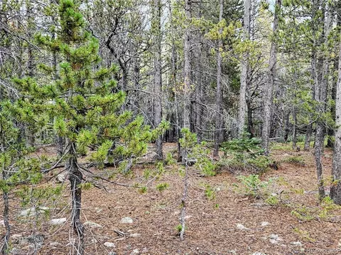 278 Lower Forest Rd, Idaho Springs, CO 80452
