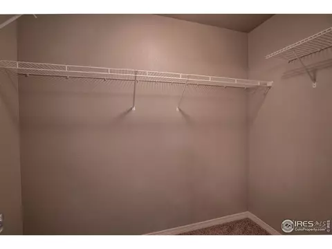5496 Osbourne Dr, Windsor, CO 80550 photo 28