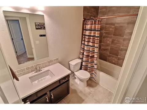 2173 Honeybee Ct, Windsor, CO 80550 photo 35