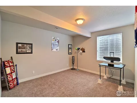 2173 Honeybee Ct, Windsor, CO 80550 photo 34