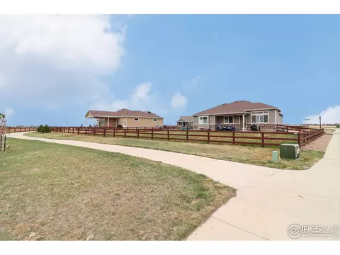 2173 Honeybee Ct, Windsor, CO 80550 photo 36