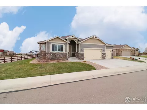2173 Honeybee Ct, Windsor, CO 80550 photo 40