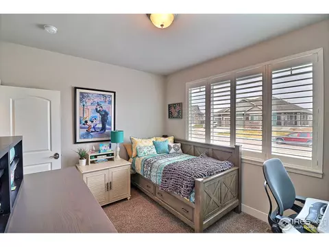2173 Honeybee Ct, Windsor, CO 80550 photo 25