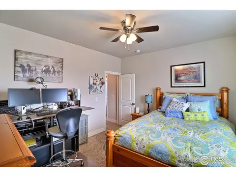 2173 Honeybee Ct, Windsor, CO 80550 photo 27