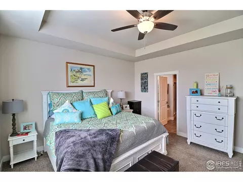 2173 Honeybee Ct, Windsor, CO 80550 photo 21