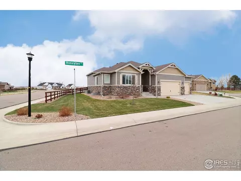 2173 Honeybee Ct, Windsor, CO 80550 photo 1