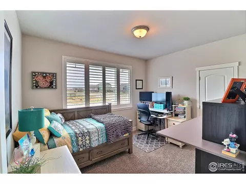 2173 Honeybee Ct, Windsor, CO 80550 photo 24