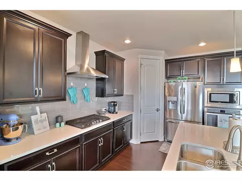2173 Honeybee Ct, Windsor, CO 80550 photo 17