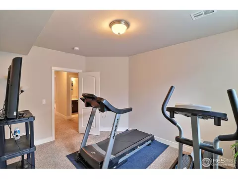 2173 Honeybee Ct, Windsor, CO 80550 photo 33