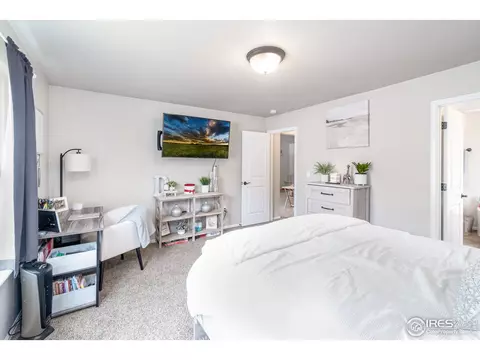 846 Sunlight Peak Dr, Windsor, CO 80550 photo 10