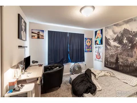 846 Sunlight Peak Dr, Windsor, CO 80550 photo 16