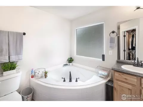 846 Sunlight Peak Dr, Windsor, CO 80550 photo 12