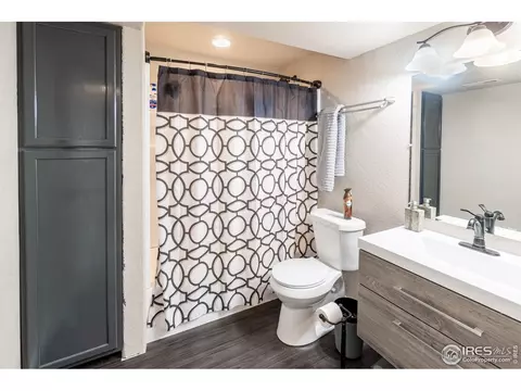 846 Sunlight Peak Dr, Windsor, CO 80550 photo 22