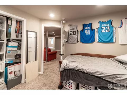 846 Sunlight Peak Dr, Windsor, CO 80550 photo 20
