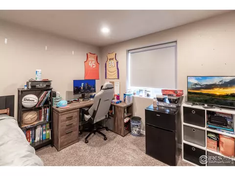 846 Sunlight Peak Dr, Windsor, CO 80550 photo 21