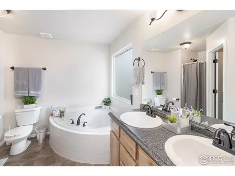 846 Sunlight Peak Dr, Windsor, CO 80550 photo 11