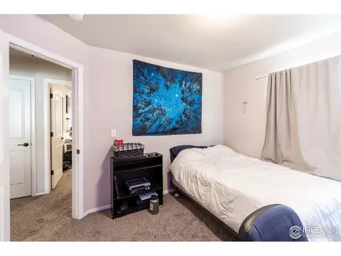 846 Sunlight Peak Dr, Windsor, CO 80550 photo 13